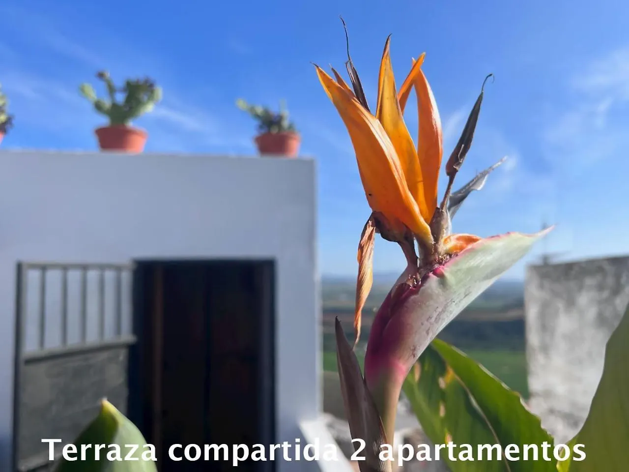 Appartement Casa Abades Arcos De La Frontera