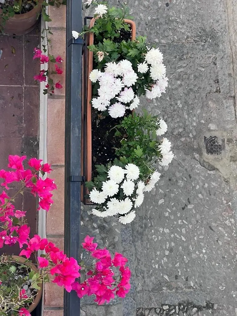 Apartamento Casa Abades Arcos De La Frontera